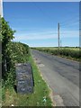 Road to Martinstown from the Hardy Monument