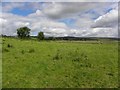 Clonetrace Townland