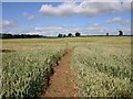 Footpath to Ilmington from Darlingscott