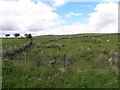 Elginny Townland