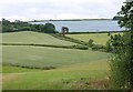 Fields near Combe Cross