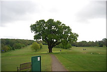 TQ3770 : Golf Course, Beckenham Place Park by N Chadwick
