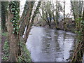 Riverside path, Ponthir