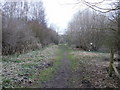 Muddy track, Ponthir water works