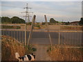 Footpath crosses Newman Drive