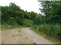 Footpath off Carlton Road, Nottingham