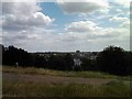 A view of the more immediate local area from Primrose Hill