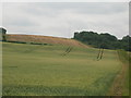 Notts farmland