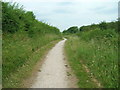 Towpath beside the Grantham Canal (footpath)