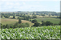 2010 : Field of maize near Belluton