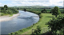 NT8439 : River Tweed from Coldstream by Richard Webb