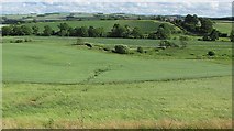 NT7437 : Farmland beneath Ednam Hill by Richard Webb