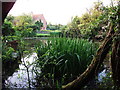 Pond at Beanit Farm, Hob Lane