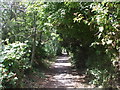 Footpath beside Ysgol Erw