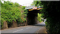 Railway bridge, Helen