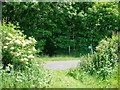 Footpath meets road