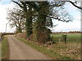 Lane near Hardwicke