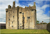 R9693 : Castles of Munster: Killaleigh, Tipperary (1) by Mike Searle