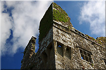 R2393 : Castles of Munster: Leamaneh, Clare (4) by Mike Searle