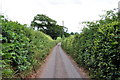 Mid Devon : Countryside Road