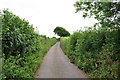 Mid Devon : Country Road