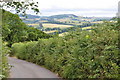 Mid Devon : Country Road