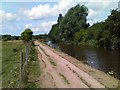 The Leeds Liverpool canal near Martland Mill