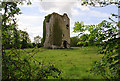 M5520 : Castles of Connacht: Ballynahivnia, Galway by Mike Searle