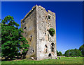 M4437 : Castles of Connacht: Derrymaclaughna, Galway by Mike Searle