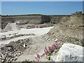 Quarry south of Easton