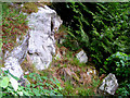 Rocks At Kilravock Castle