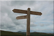 NT8526 : Pennine Way Signpost, Stob Rig by Jim Barton