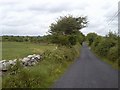 R4679 : Country Road, Co Clare by C O'Flanagan