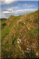 Hill countryside near Cavers Knowes