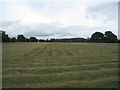 Hay drying, Corse Lawn