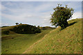 Hill countryside near Cavers Knowes