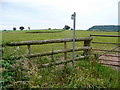 Footpath to Tirley