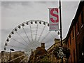 Sheffield wheel from Surrey Street