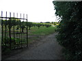 Orchard at Little Barton Farm