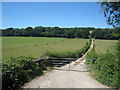 Track to Yawlings Wood Farm