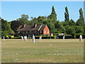TQ5446 : Cricket on the Green at Leigh by Stephen Craven