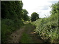 Corfe Mullen Trailway