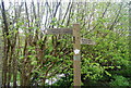 Signpost, Sussex Ouse Valley Way, A275