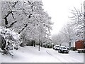 Pingle Croft in the snow