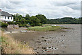 Bere Ferrers: upstream towards Maristow