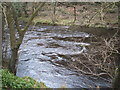 SK2379 : River Derwent in winter by Peter Barr