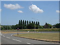 Brook Lane approaching Thanet Way, near Marshside