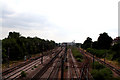 Finsbury Park:  View from a footbridge