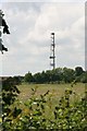 Phone mast over the hedge