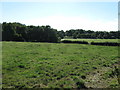 NY2360 : Field near Glasson Moss by Alex McGregor